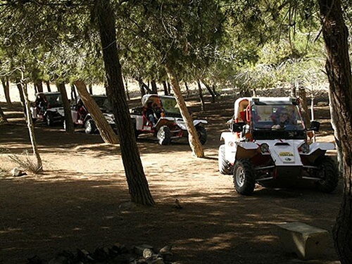 מטיילי המדבר