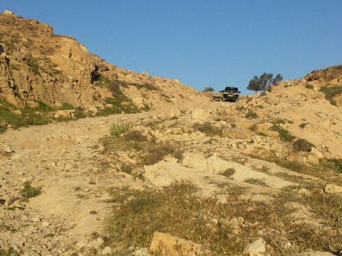 מטיילי המדבר