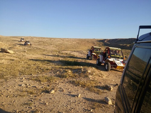 מטיילי המדבר