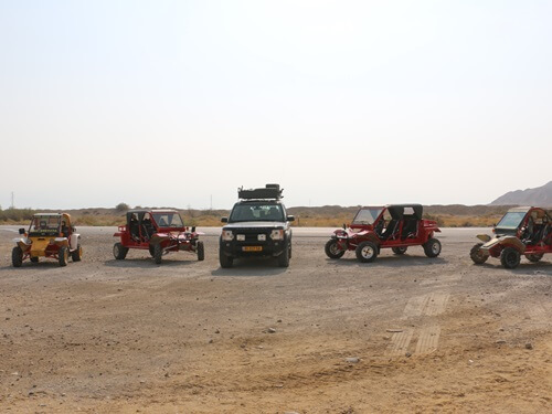 מטיילי המדבר