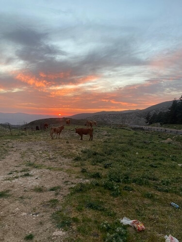 טיולי ג'יפים נופי החרמון