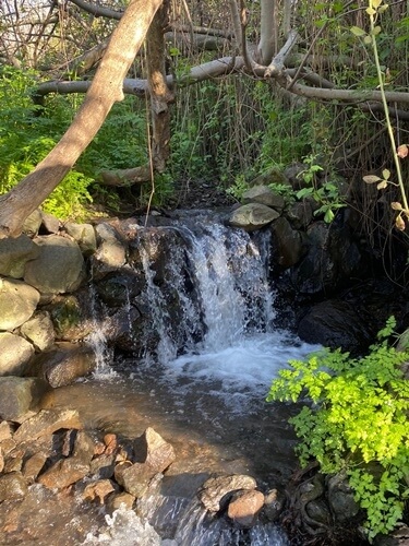 טיולי ג'יפים נופי החרמון