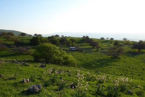 דרך ארץ טיולי ג'יפים