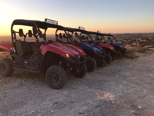 טרקטורוני אריות השפלה