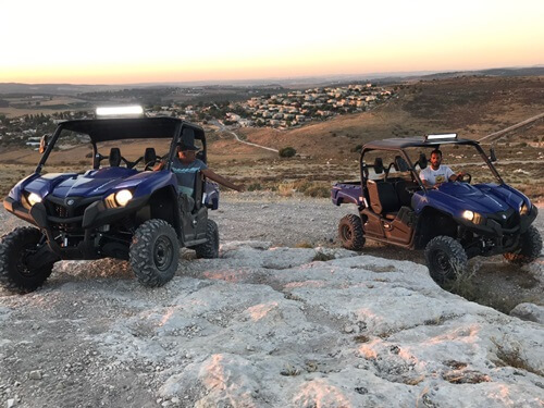 טרקטורוני אריות השפלה