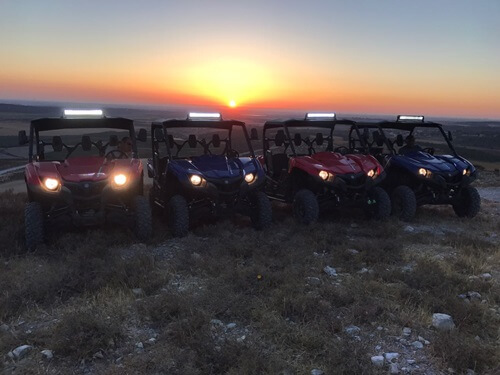 טרקטורוני אריות השפלה