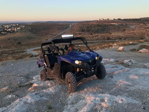 טרקטורוני אריות השפלה