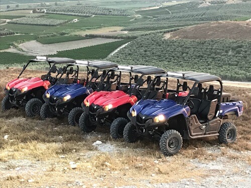 טרקטורוני אריות השפלה