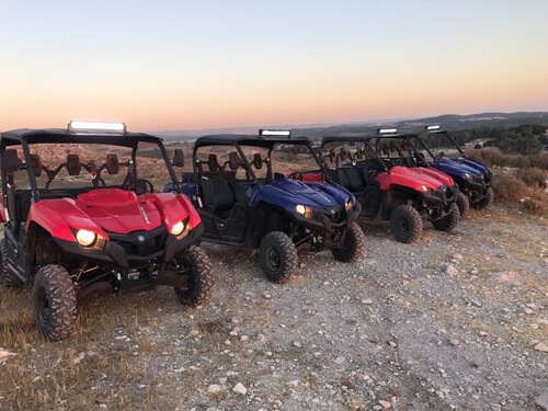 טרקטורוני אריות השפלה