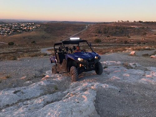 טרקטורוני אריות השפלה