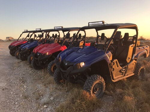 טרקטורוני אריות השפלה