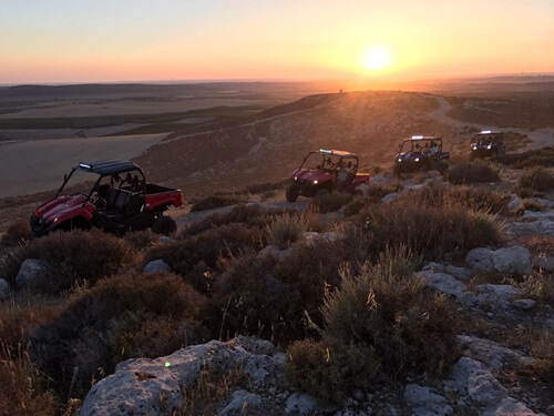 טרקטורוני אריות השפלה
