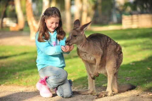גן גורו ניר דוד