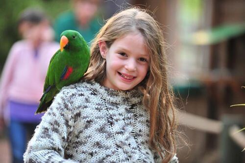 גן גורו ניר דוד