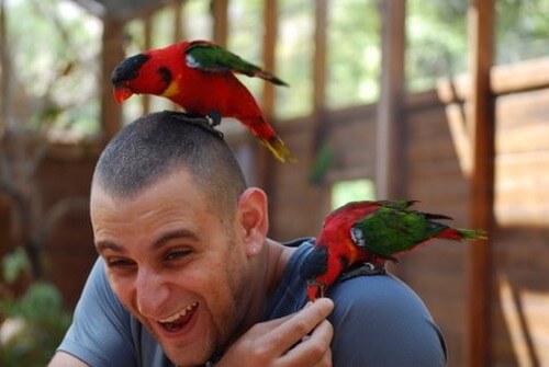 גן גורו ניר דוד