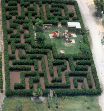 גן גורו ניר דוד