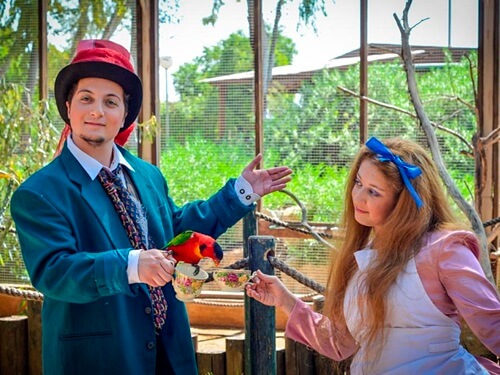 גן גורו ניר דוד