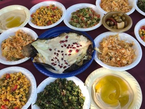 טרקטורוני נוף הורדים