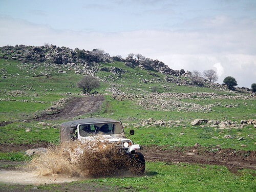 משק לוי קטיף עצמי