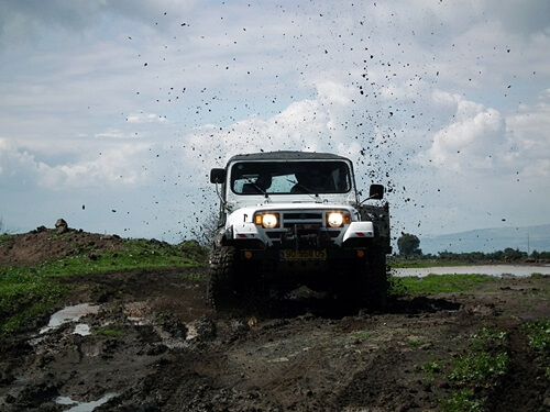 משק לוי קטיף עצמי