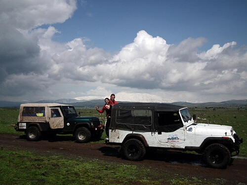 משק לוי קטיף עצמי