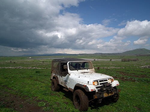 משק לוי קטיף עצמי