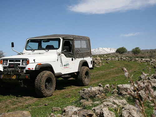 משק לוי קטיף עצמי