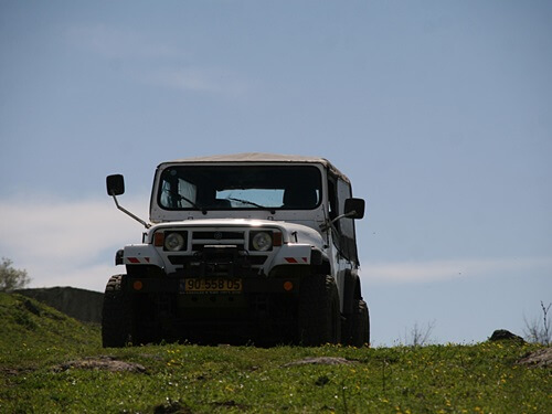 משק לוי קטיף עצמי