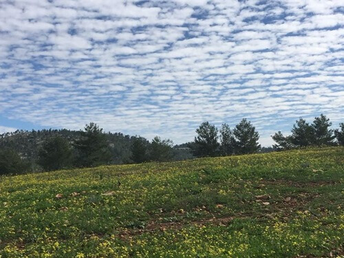 טרקטורוני אקסטרים נווה אילן