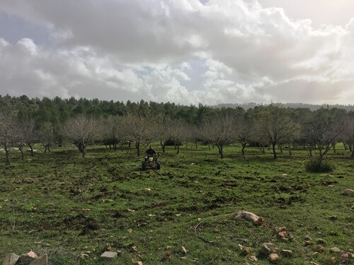 טרקטורוני אקסטרים נווה אילן