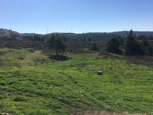 טרקטורוני אקסטרים נווה אילן