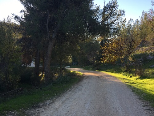 טרקטורוני אקסטרים נווה אילן