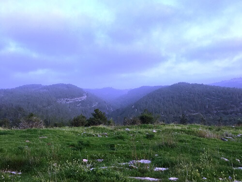 טרקטורוני אקסטרים נווה אילן