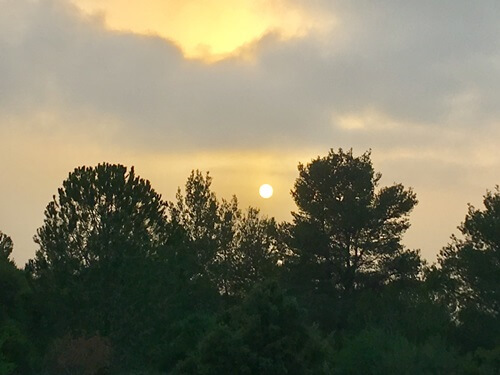 טרקטורוני אקסטרים נווה אילן