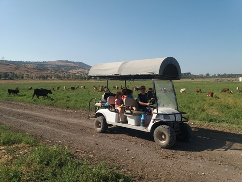 מרכבות הירדן
