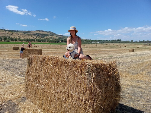 מרכבות הירדן