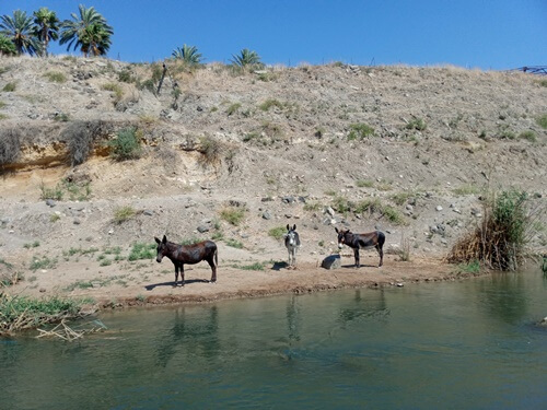 מרכבות הירדן