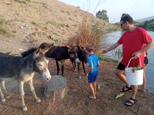 מרכבות הירדן