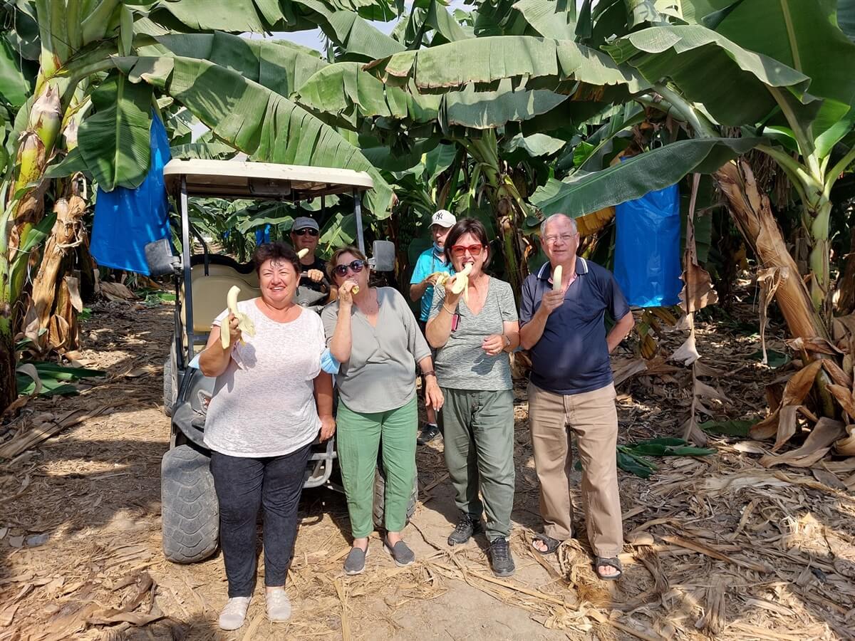 מרכבות הירדן