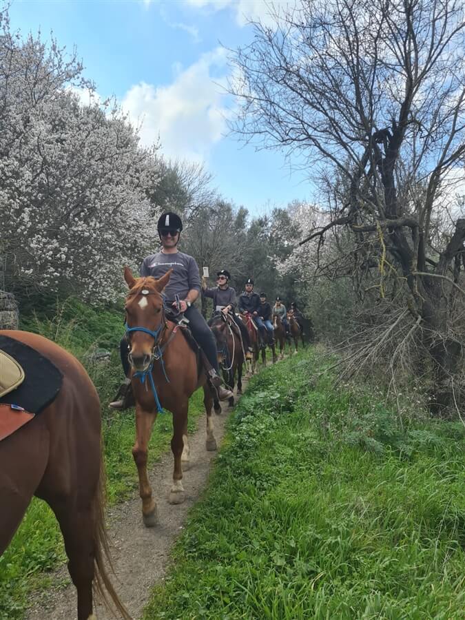 חוות סוסים נוף הרים בגליל