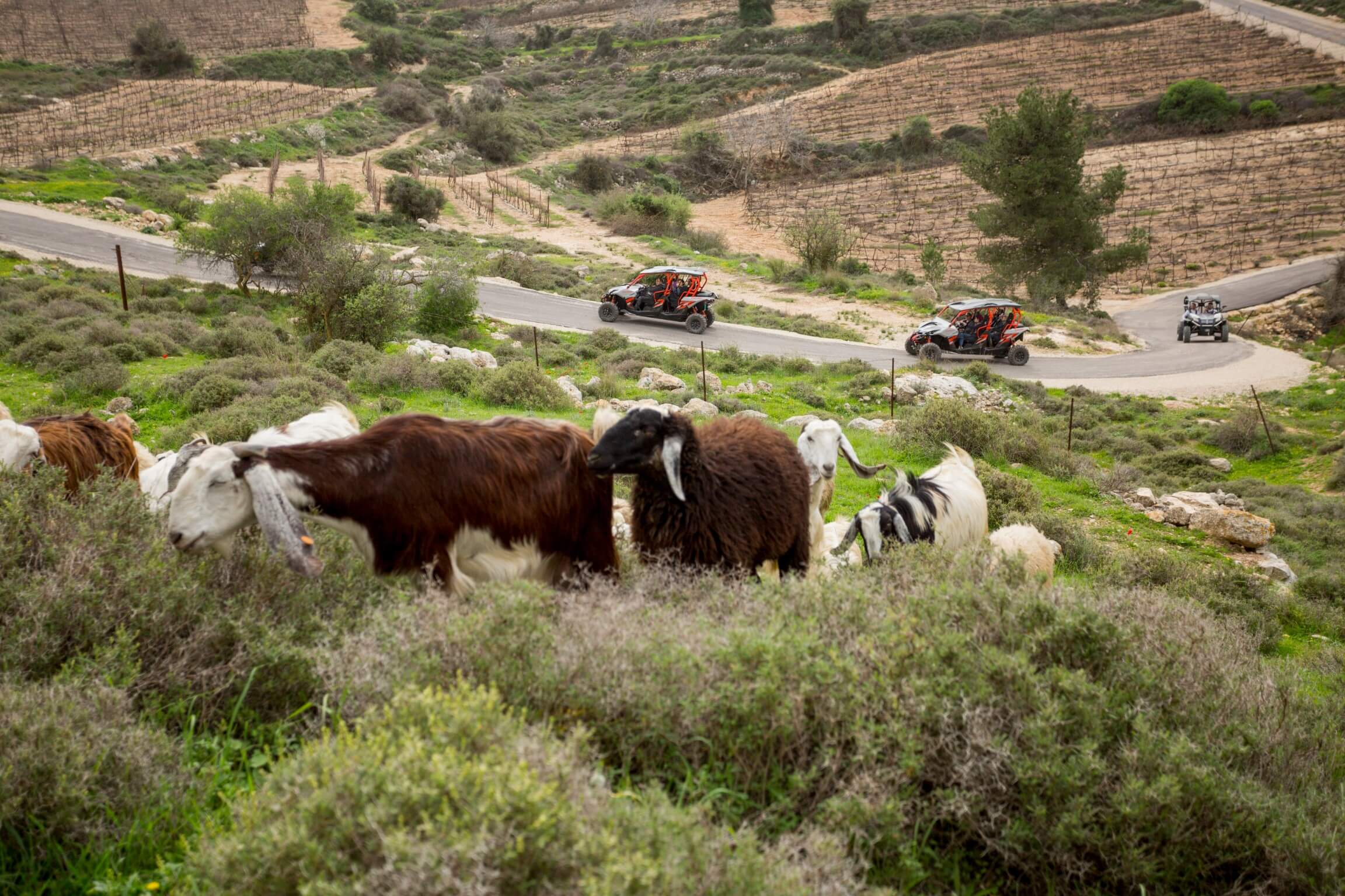 ריגוש - ReGush טיולי שטח בגוש עציון