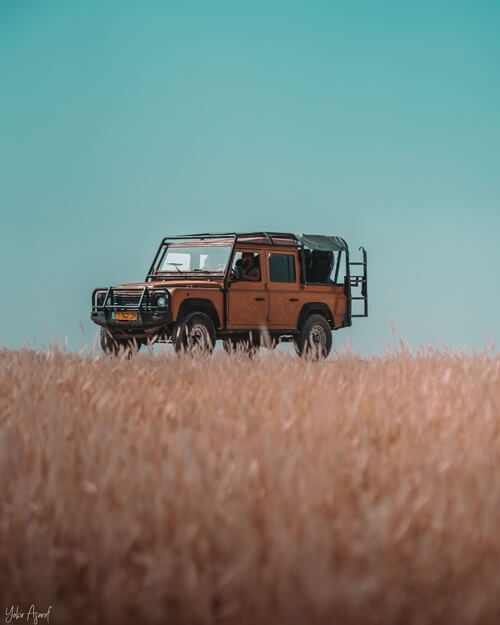 כנען תיירות מדבר