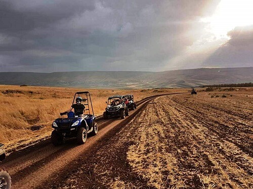 קובי טרקטורונים