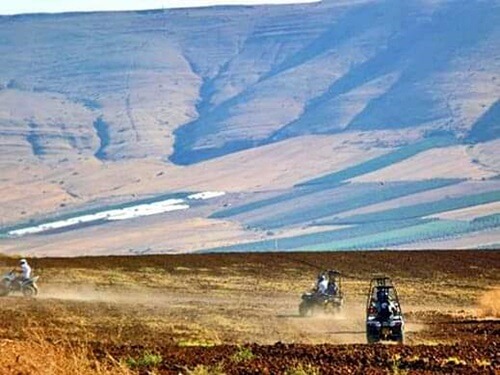 קובי טרקטורונים