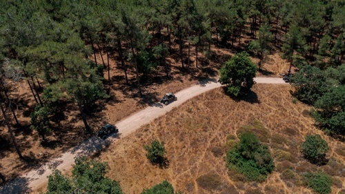 ריינג'רים אחוזת ציפורי