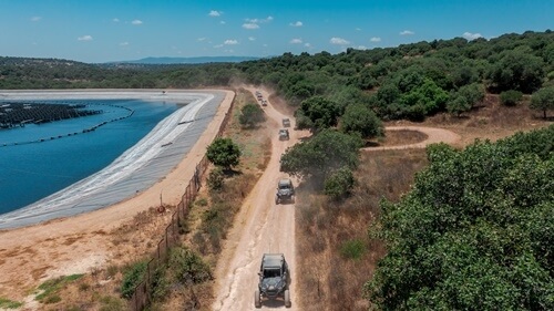 ריינג'רים אחוזת ציפורי