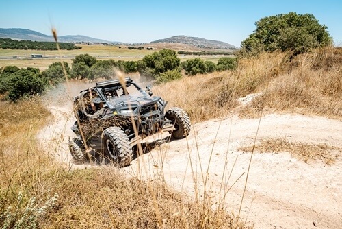 ריינג'רים אחוזת ציפורי