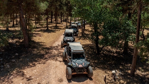 ריינג'רים אחוזת ציפורי