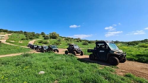 ריינג'רים אחוזת ציפורי