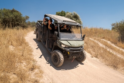 ריינג'רים אחוזת ציפורי